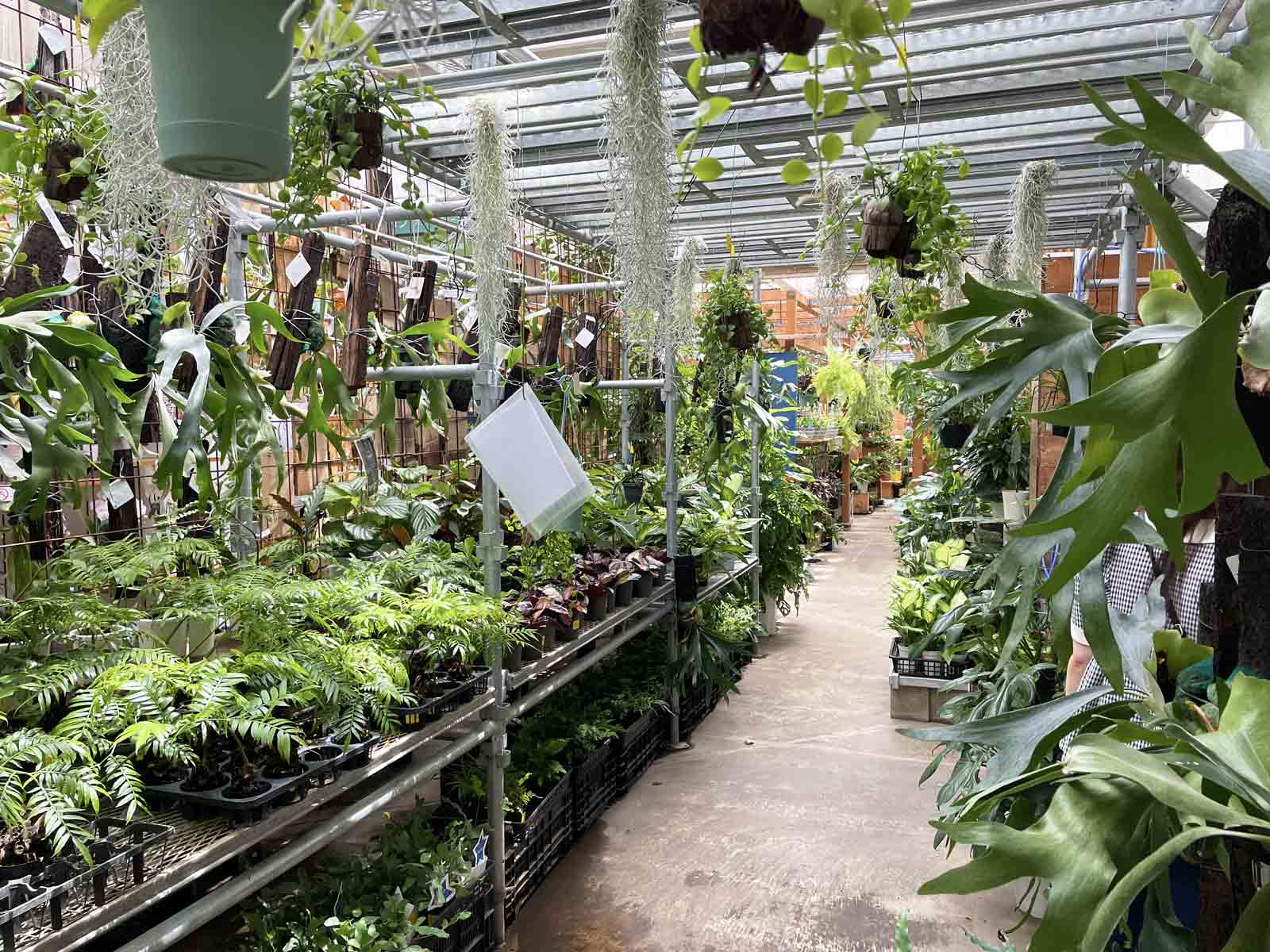 オザキフラワーパークでは全ての植物が生き生きと育っている
