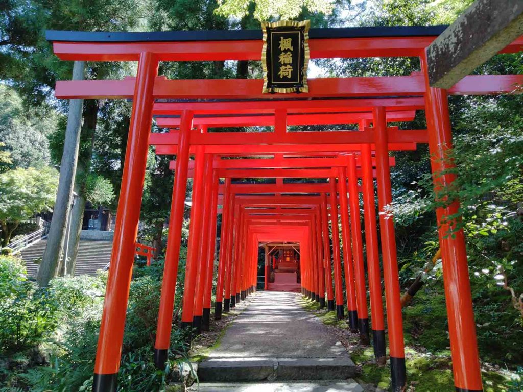 稲荷神社は赤い鳥居が並んでいて素敵