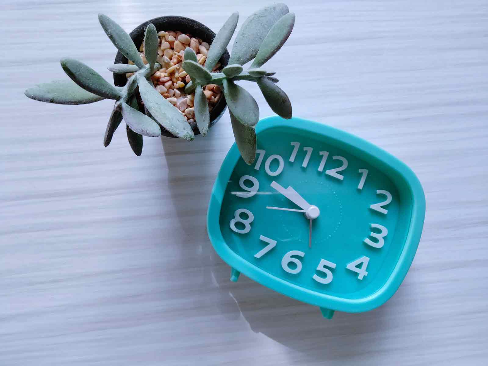 机の上に多肉植物と青色の目覚まし時計が置かれている