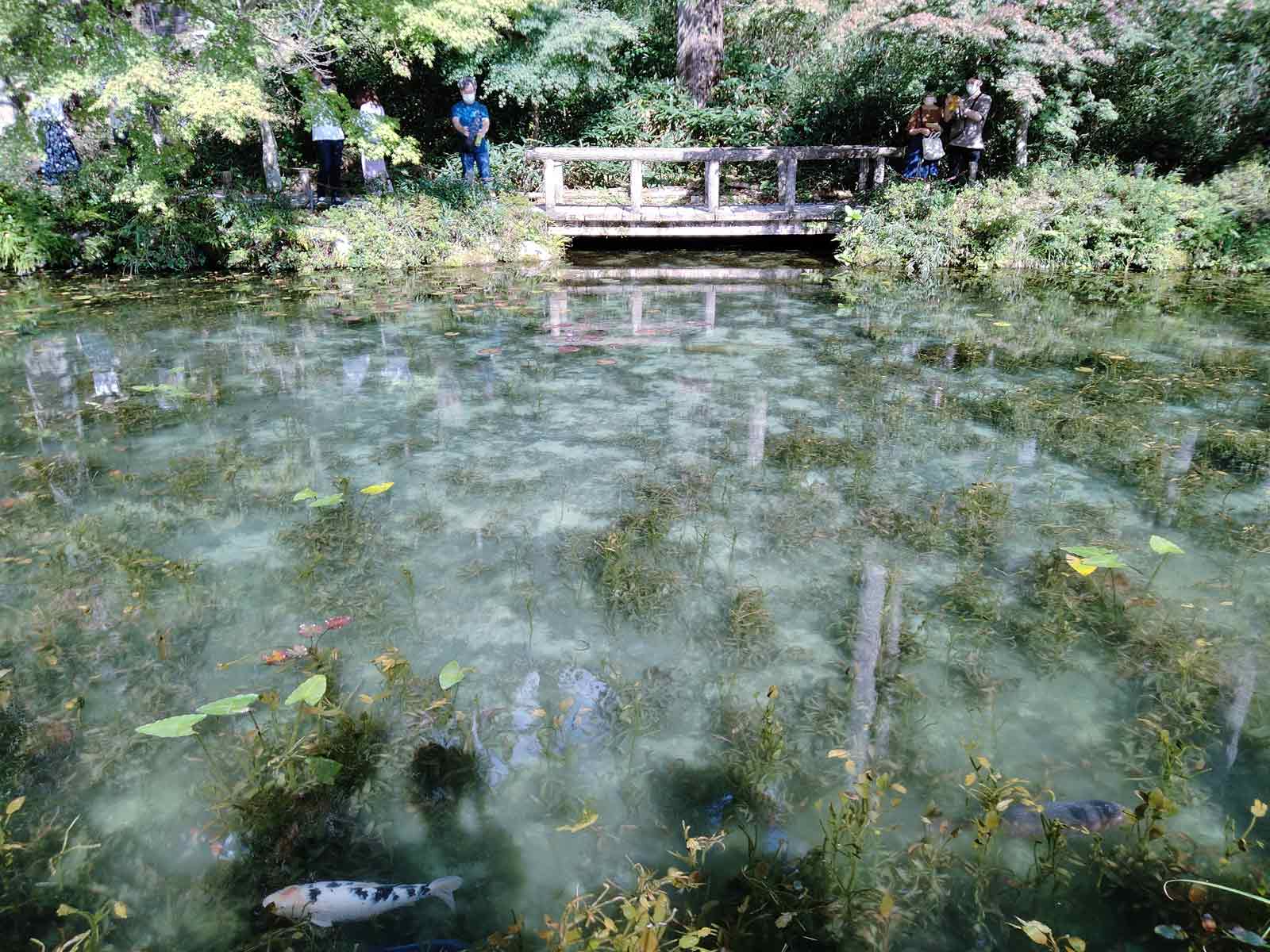 岐阜県にあるモネの池