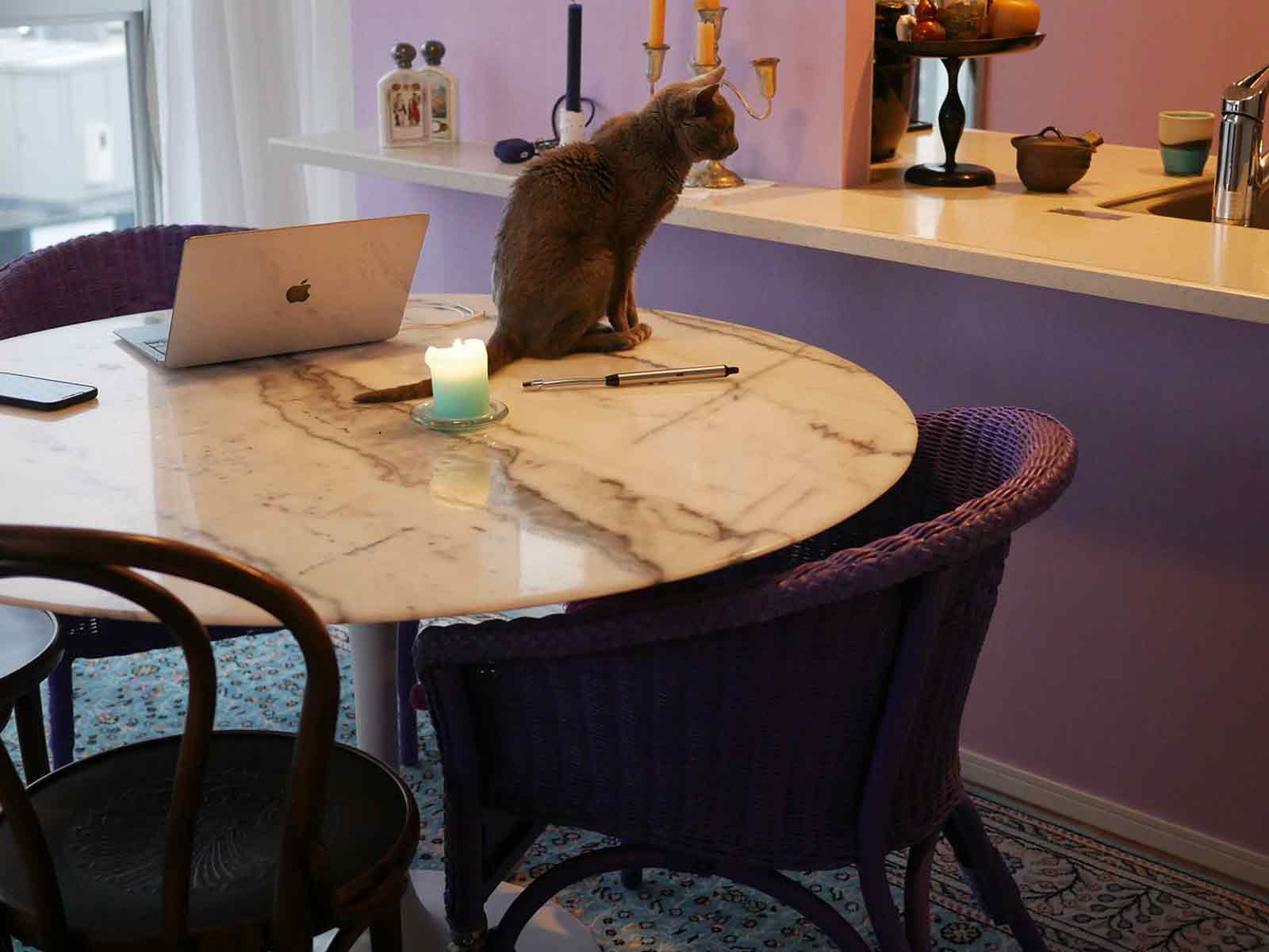 お洒落な丸テーブルの上に猫が乗っている