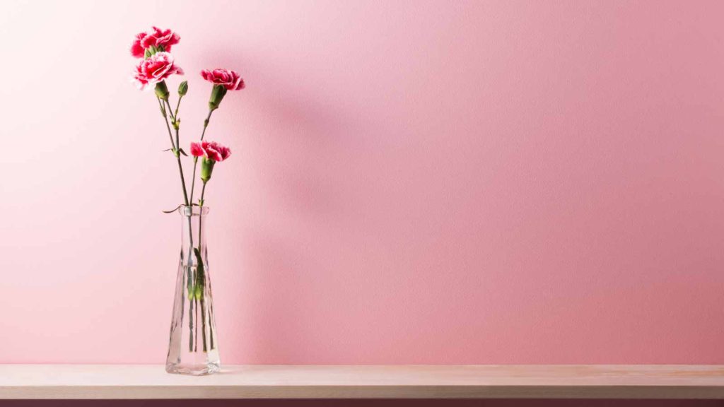 ピンクの背景に赤い花が生けられた透明の花瓶