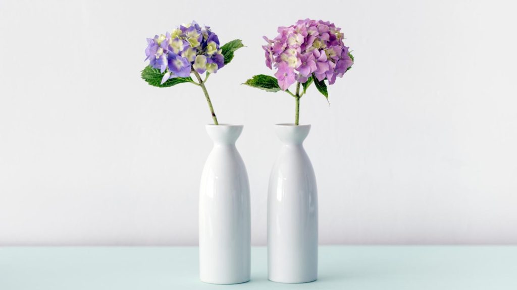 2本の花瓶に入った紫陽花